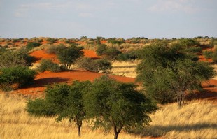 064 Namibia Okt 2006 .JPG